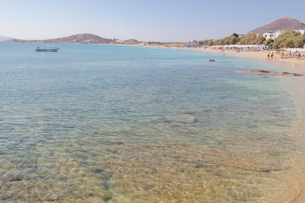 Katerina Babis Studios Agios Prokopios  Pokoj fotografie